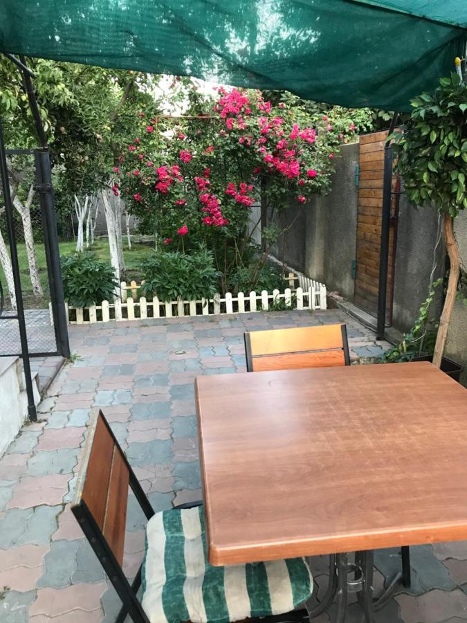 Гостевой Дом Дина Odessa Extérieur photo